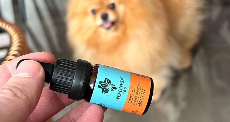 CBD for pets
